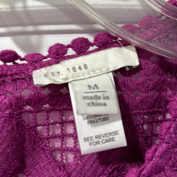 Cato - Picture 2 of 3